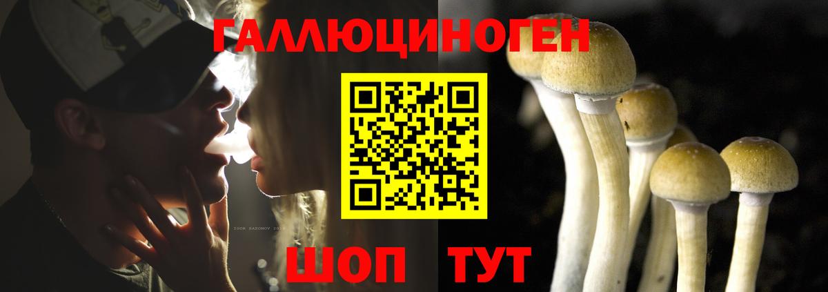 Кувандык  Псилоцибиновые грибы Magic Shrooms  Псилоцибиновые грибы Cubensis  купить  цена  Вход с VPN 